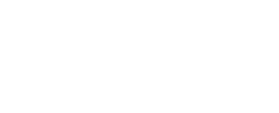 sajn logo